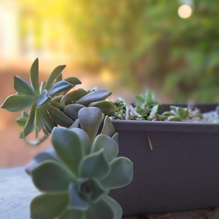 T2 De 45 M2 Sur Porticcio Avec Jardin Διαμέρισμα Εξωτερικό φωτογραφία
